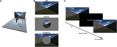 Influence of the Size of the Field of View on Visual Perception While Running in a Treadmill-Mediated Virtual Environment